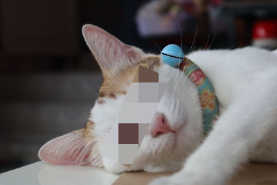 In this example, we pixelate the eye area in a cat photo to hide the cat's facial expression and make it hard to tell whether the eyes are open or closed. We use large pixelation blocks that are 30 pixels wide and tall. The effect is applied inside a rectangular region, and we rotate this region by 66 degrees so it follows the diagonal line across the cat's face. (Source: Pexels.)