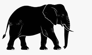 In this example, we extract all twenty frames from an elephant walking animation and arrange them as a five-row by four-column bitmap grid. We reduce every 300-by-179-pixel frame to 60% of its original size and add five pixels of padding, which creates a narrow black border around the completed BMP sprite sheet. (Source: Vecteezy.com.)