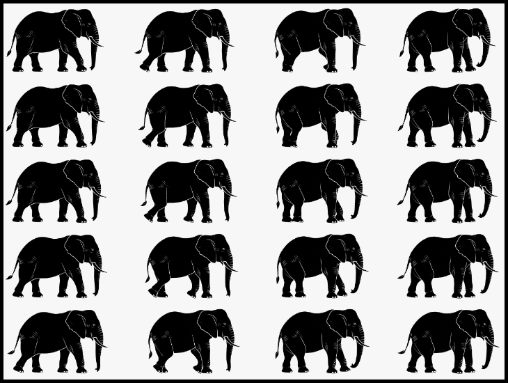 In this example, we extract all twenty frames from an elephant walking animation and arrange them as a five-row by four-column bitmap grid. We reduce every 300-by-179-pixel frame to 60% of its original size and add five pixels of padding, which creates a narrow black border around the completed BMP sprite sheet. (Source: Vecteezy.com.)