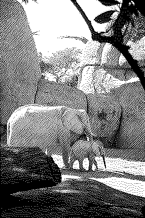 In this example, we reduce a full-color elephant photo to a 1-bit black-and-white BMP. Each pixel uses just one bit, allowing eight pixels to fit into a single byte and reducing the file size from 387 KB to just 18 KB. Sierra dithering arranges black and white pixels into fine patterns that keep the elephants and surrounding zoo details recognizable. (Source: Pexels.)