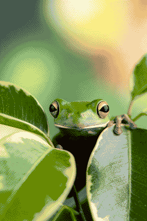 This example reduces a frog bitmap to an indexed 4-bit BMP. It limits the image to a palette of no more than 16 colors, with each pixel storing a 4-bit palette index. To soften the effect of this strong color reduction, Atkinson dithering mixes the available colors in fine pixel patterns. This keeps the frog recognizable and helps retain subtle light and shadow details in the leaf and background. (Source: Pexels.)