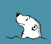 In this example, we load base-64 data that's encoded in base-64 encoding. This data contains a bitmap image. When it's decoded, we find that it's a bitmap image of a polar bear and the size of the image is size 200×175.