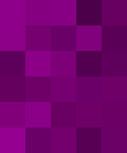 In this example, we list only one color that the program will work with. This color is listed using its hex code #980093, which was obtained from the color picker palette. We also activate the "Use Tonal Colors" option and set the fuzziness threshold to 0.5, which randomly changes the saturation of each purple pixel. The resulting bitmap has a rectangular shape of size 250 by 300 and contains 30 different purple tints, tones, and shades.
